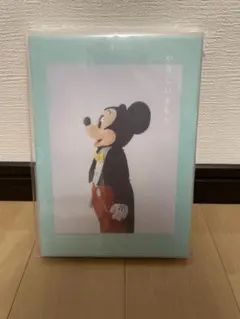 イマジニングザマジック　写真集　しおり　ドナルド ディズニー　フォトブック