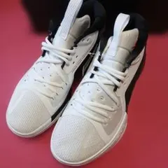 Item thumbnail for item d5fa9425-db1d-45ee-b085-9ce48f24332c