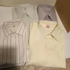 Item thumbnail for item c3308e58-e9d7-4026-bb60-4e72e8a6b3ca