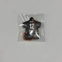 12 キーパーユニ 26/27 ユニホームラバーキーホルダー 清水エスパルス