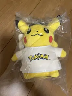 ポケモンマスコットぬいぐるみ ピカチュウ Pokémon ロゴあり