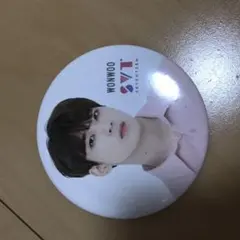 SEVENTEENウォヌ缶バッジ