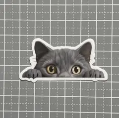 【A713】防水ステッカー ねこ 猫　ブリティッシュ ロシアンブルー