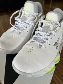 Item thumbnail for item a01f9a3f-41fc-4f5b-8635-f6af7e13a116