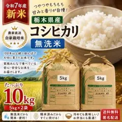 農家直送】令和7年産 栃木県産コシヒカリ 無洗米 10kg (5kg×2袋