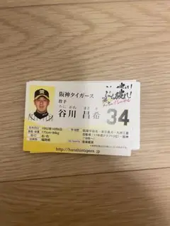 谷川昌希　名刺　キャンプ　配布限定品