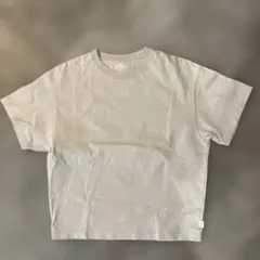 ダントン　DANTON 半袖 Tシャツ ベージュのサムネイル
