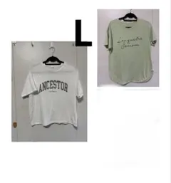 レディースTシャツ Lサイズ まとめ売り しまむらのサムネイル
