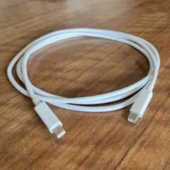 Thunderbolt 2 ケーブル (2m) Apple純正