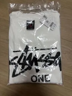 白 fragment Stussy Tシャツ L 藤原ヒロシ 限定 レア 初期