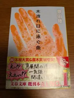 木洩れ日に泳ぐ魚
