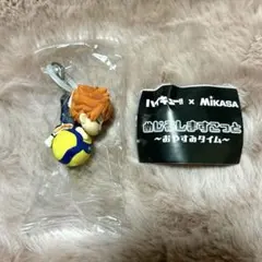 ハイキュー!!×MIKASA めじるしマスコット ～おやすみタイム～ 日向翔陽