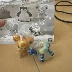 ポケモン ガチャ ヒメグマ テラパゴス セット