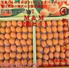 2026年最新】長崎産茂木びわの人気アイテム - メルカリ