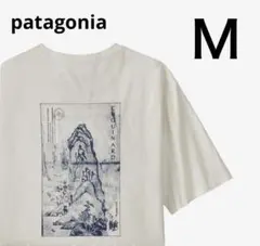 patagonia パタゴニア Tシャツ 半袖 シャツ トップス 37545