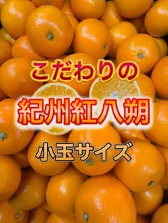 935)数量限定　甘すぎる　有田みかん　果物 　みかん　小玉　旬 甘い!小さいサイズ! B級小玉の天使のみかん 有田みかん4kg 最高級