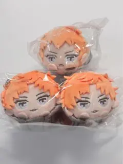 ヒプノシスマイク ヒプマイ 毒島メイソン理鶯 もちころりん EW04