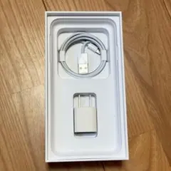 Apple純正　ライトニングケーブル充電器　アップル　純正アダプターとのセット