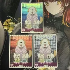 ラブカ しいたけ SRE 3枚