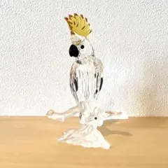 スワロフスキー バタンインコ キバタン オウム Cockatoo