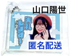 日向坂46 日向坂で会いましょう ガチャ 失礼します 山口陽世 ひなあい ②