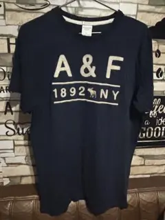 Abercrombie & Fitch Tシャツ L ネイビー