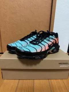 NIKE AIR MAX PLUS ナイキ エアマックス プラス 新品同様