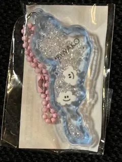 琵琶湖キーホルダー びわ湖バレイ限定 5点セット 琵琶湖キーホルダー びわ湖バレイ限定 5点セット - メルカリ