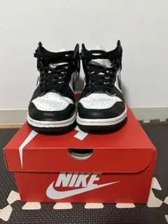 NIKE DUNK HI RETRO