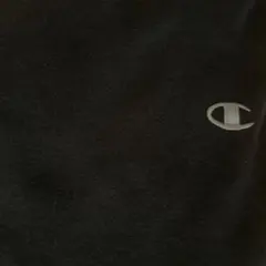 Champion AUTHENTIC パーカー