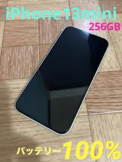 iPhone 13 Pro 256GB 背面ガラス割れ - メルカリ