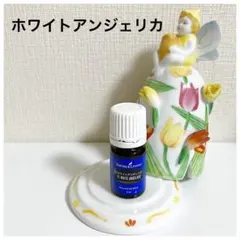 ヤングリビング ホワイトアンジェリカ エッセンシャルオイル 15ml