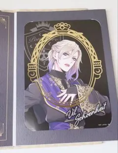 ツイステッドワンダーランド　ポートレートヴィル シェーンハイト