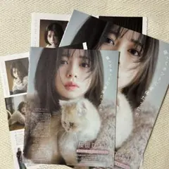 Item thumbnail for item 64adeca9-cab4-47bc-bad0-fd988046bf89