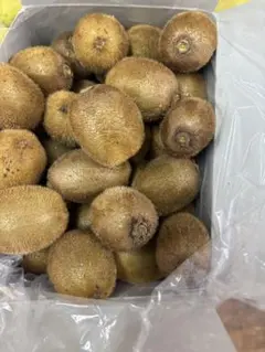 ピーハナ様専用、訳ありキウイ