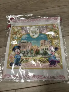 東京ディズニーリゾート　☆ファンタジースプリングス☆トラベル巾着