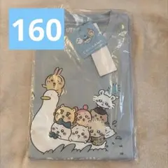 【即購入◎】 映画 ちいかわ セイレーン ユニクロ UT Tシャツ 160のサムネイル