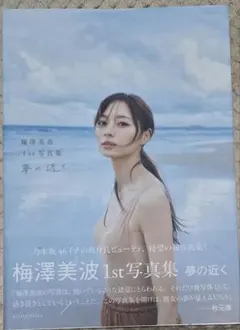 夢の近く : 梅澤美波1st写真集 ポストカード ポスター付き - メルカリ