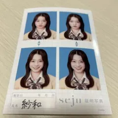 seju 證件照 紗和 4張套