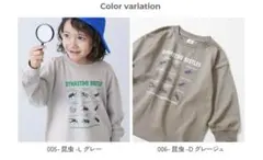 昆虫 ロンT 130 男の子 カブトムシ クワガタ ２枚セット