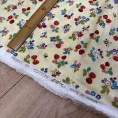 ●2m　コットンこばやし　いちご　ストロベリー　苺　イエロー　起毛