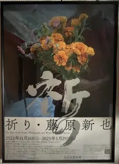 2026年最新】藤原新也 祈りの人気アイテム - メルカリ