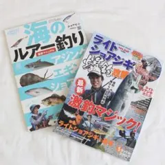 海のルアー釣り & ライトショアジギング攻略