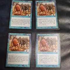 逃亡した多相の戦士 四枚セット