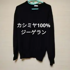 GEEGELLAN ブラック Vネックセーター （ ジーゲラン）