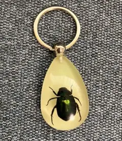 2026年最新】昆虫標本キーホルダーの人気アイテム - メルカリ