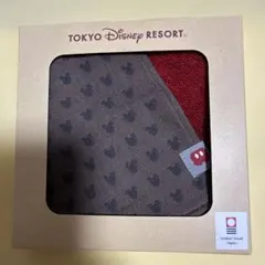 東京ディズニーリゾート 今治タオルハンカチ ミッキーのサムネイル