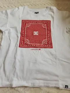 Item thumbnail for item 46d5e526-510e-4851-a8b8-1741d1cb6ae7