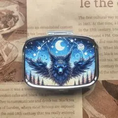 642　ハンドメイド　レジン　ピルケース　薬箱　小物入れ　狼 翼