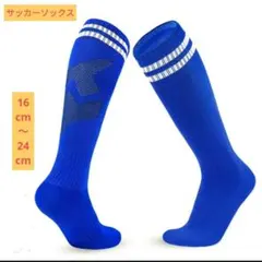 サッカーソックス　ジュニア　ブルー